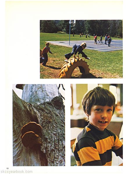 SKCS Yearbook 1976•12 South Kortright Central School Almedian