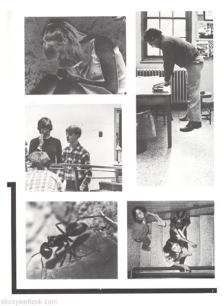 SKCS Yearbook 1981•7 South Kortright Central School Almedian